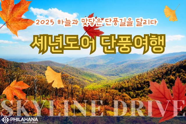 하늘 가까이에서 만나는 단풍!  2025 가을 셰넌도어 패키지